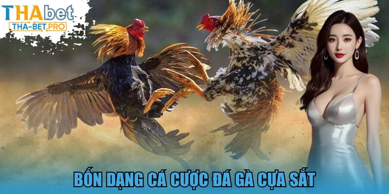 Bốn dạng cá cược đá gà cựa sắtBốn dạng cá cược đá gà cựa sắt