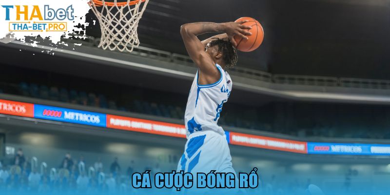 Cá Cược Bóng Rổ